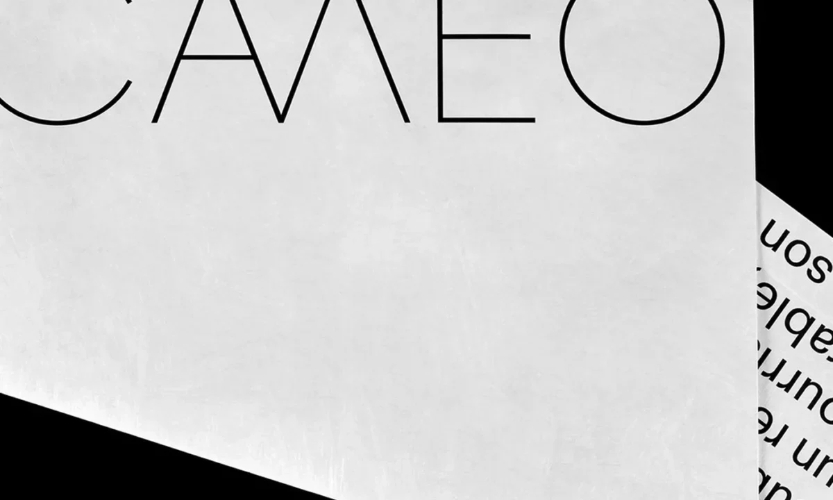 Paprika Design Unveils Tactile Brand Identity for CAMEO, Redefining Architectural Communication with Tyvek and Modular Portfolios